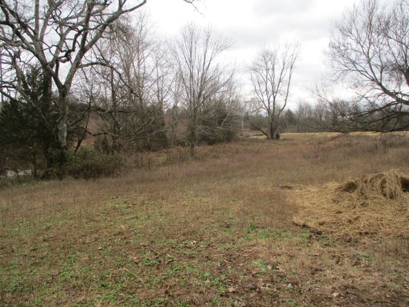 Highway 11 & County Rd 716: Highway 11 & County Rd 716, Riceville, TN 37370